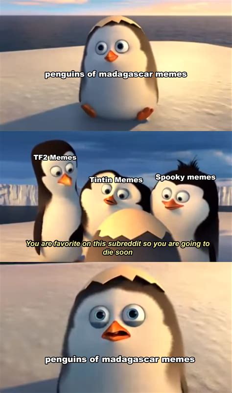 penguins of madagascar meme|the penguins of madagascar funny.